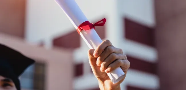 Certificación desarrollo web para psicología